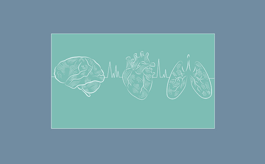 Βιοανάδραση